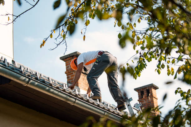 Professional Roofing Contractor in Dalton, GA