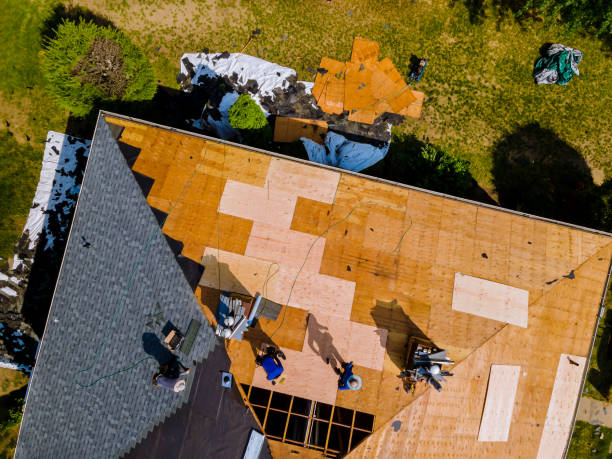 Best Metal Roofing Contractor  in Dalton, GA