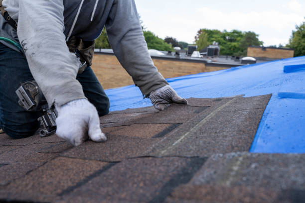 Best Roof Restoration Services  in Dalton, GA