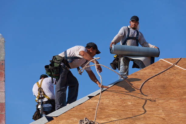 Best Commercial Roofing Services  in Dalton, GA