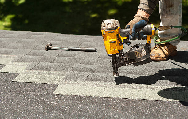 Roof Gutter Cleaning in Dalton, GA